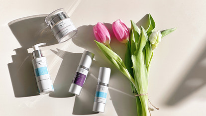 Slide image mobile 1